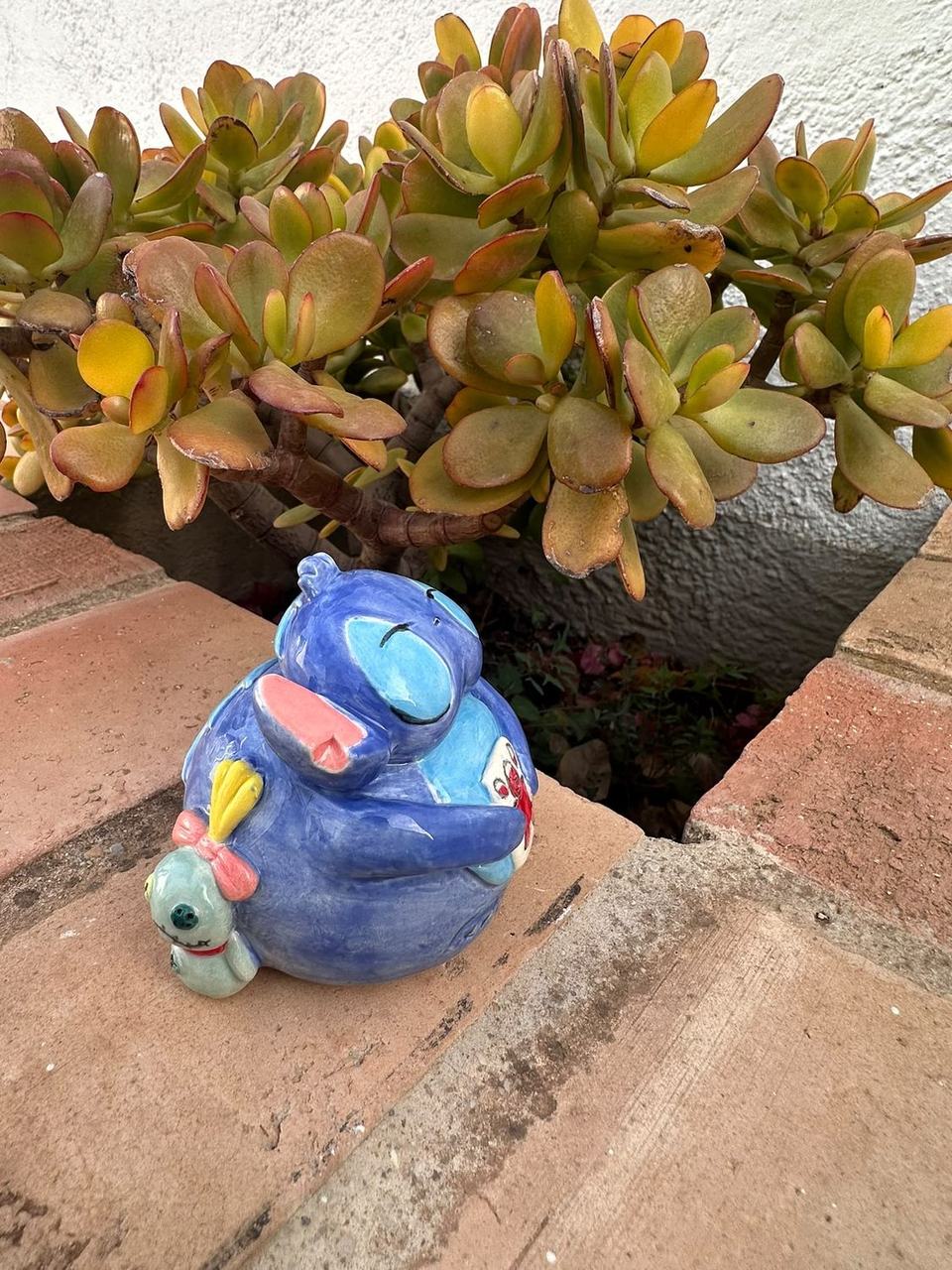 Mushi azul entre suculentas